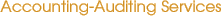 Accounting-Auditing Services